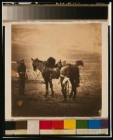 Lieutenant Godman, 5th Dragoons
