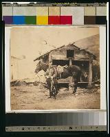 Captain King, horse artillery