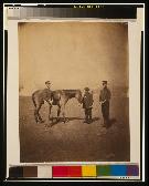 Captain Vam, friend & servant, 38th Regiment Captain Vam, friend & servant, 38th Regiment