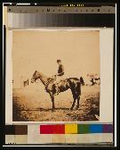 Captain Morgan, Rifle Corps, A.D.C. Captain Morgan, Rifle Corps, A.D.C.