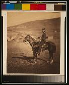 Captain Wilkinson, 9th Regiment Captain Wilkinson, 9th Regiment