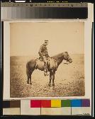 The Honourable Major Cathcart, Dep. As. Adj.