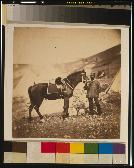 Captain Drysdale, 42nd Regiment