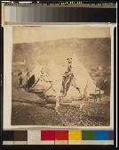 Chasseur d'Afrique - officer