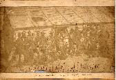 Officers of the 18th Royal Irish Regiment :James Robertson