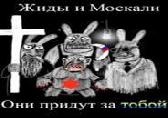    ,       :Sevdig