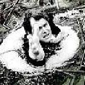  -2012:  ,   :Sevdig