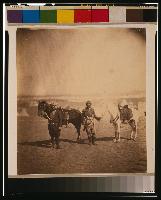 Nubian servants & horses Автор:Roger Fenton Nubian servants & horses Автор:Roger Fenton