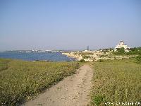  :voleg