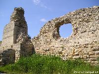  :voleg