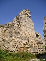  :voleg