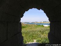  :voleg