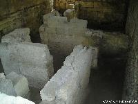  :voleg