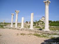  :voleg