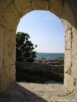  :voleg