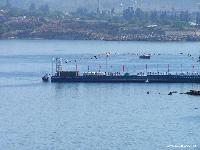 : , e-mail: yanishevskiy@gmail.com