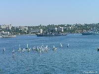  : , e-mail: yanishevskiy@gmail.com